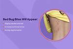 How Long Does It Take Bug B Gon to Dry? Check This out | How to Apply Ortho Bug B Gon Granules