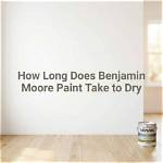 How Long Does It Take for Benjamin Moore Paint to Cure?
