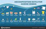 How Long Does It Take for Marine Tex to Cure?