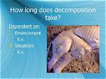 How Long Does It Take for Putrefaction to Occur?