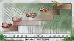 How Long Does Skeletonization Take in a Coffin?