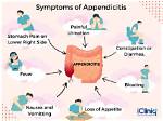 How Long Grumbling Appendix?