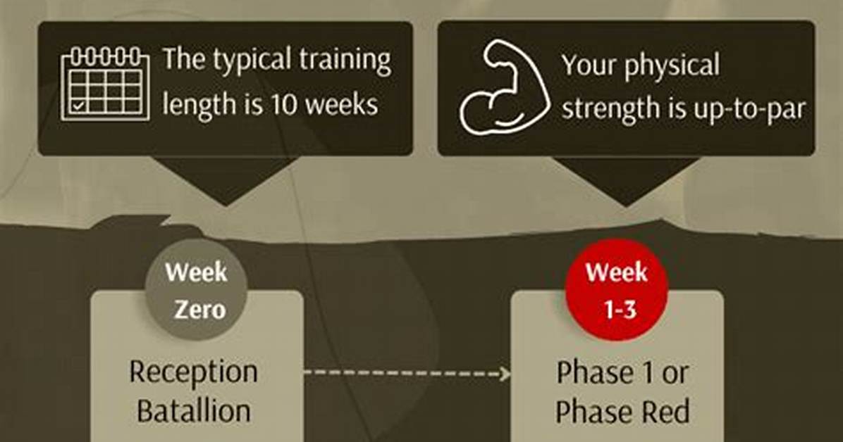 How Long Is Basic Training Army