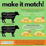 How Long Should Hay Sit Before Feeding?