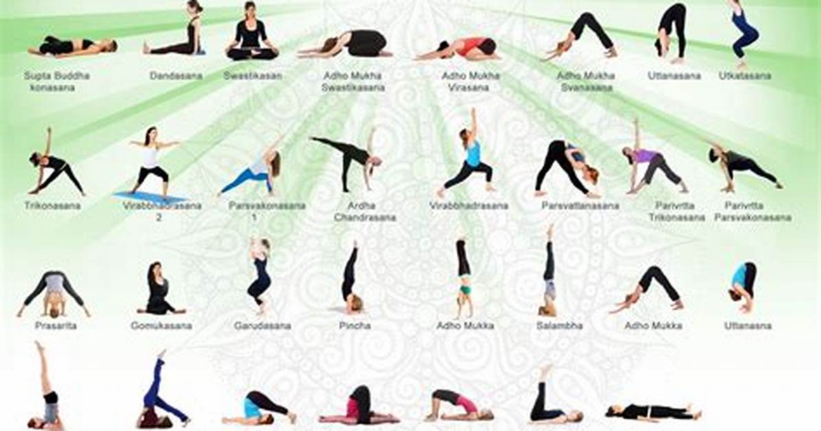 How Many Basic Yoga Asanas?