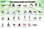 How Many Basic Yoga Asanas?