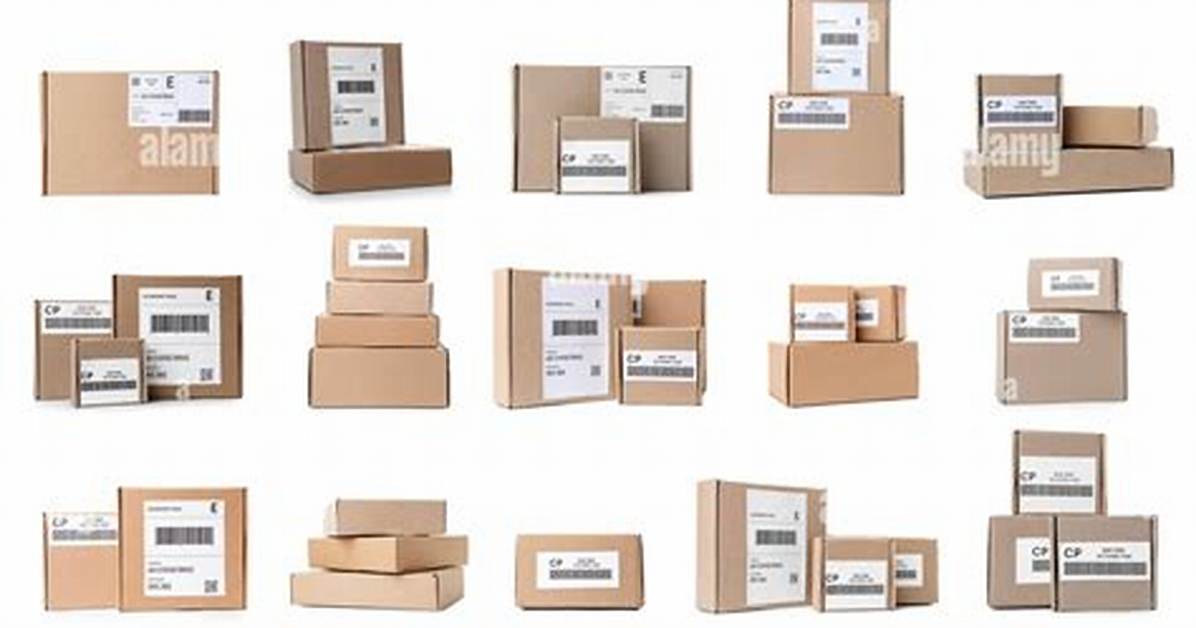How Many Boxes Are in a Case of Girl Scout Cookies?