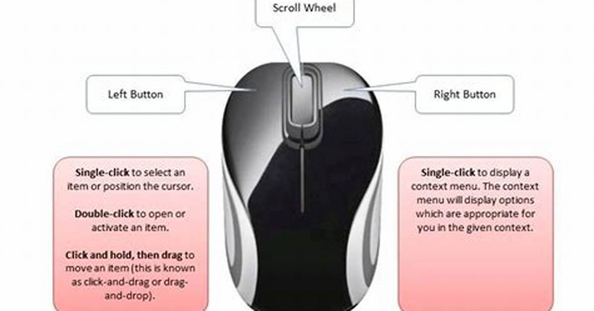 How Many Button Has a Mouse?