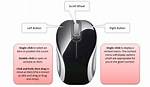 How Many Button Has a Mouse?