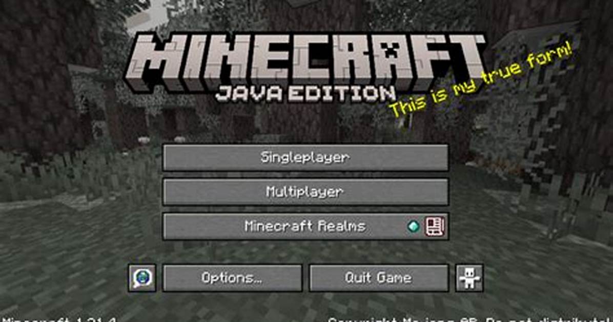 How Many Java Version Do I Have Linux?