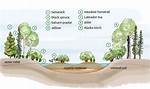 How Marsh Is Made?