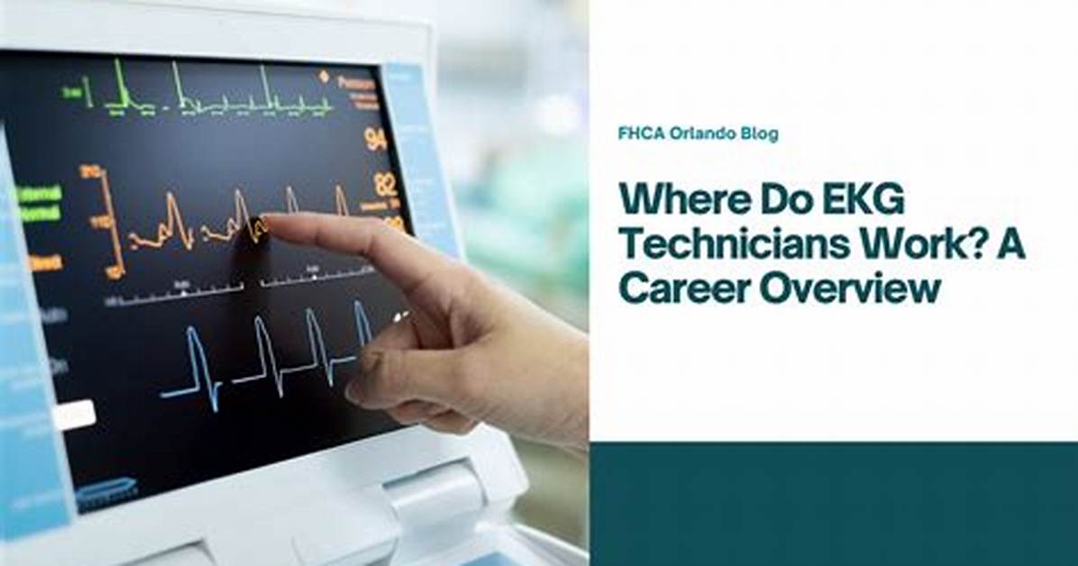 How Much Do Ecg Technicians Make