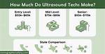 How Much Do It Techs Make