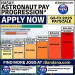 How Much Do Nnp Make?