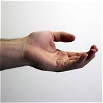 How Much Does a Hand Model Make