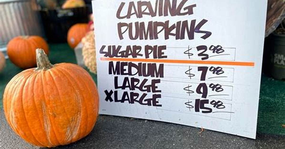 How Much Does a Pumpkin Patch Cost