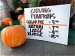 How Much Does a Pumpkin Patch Cost