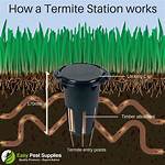 How Much Does a Termite Bait System Cost?