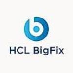 How Much Does Bigfix Cost