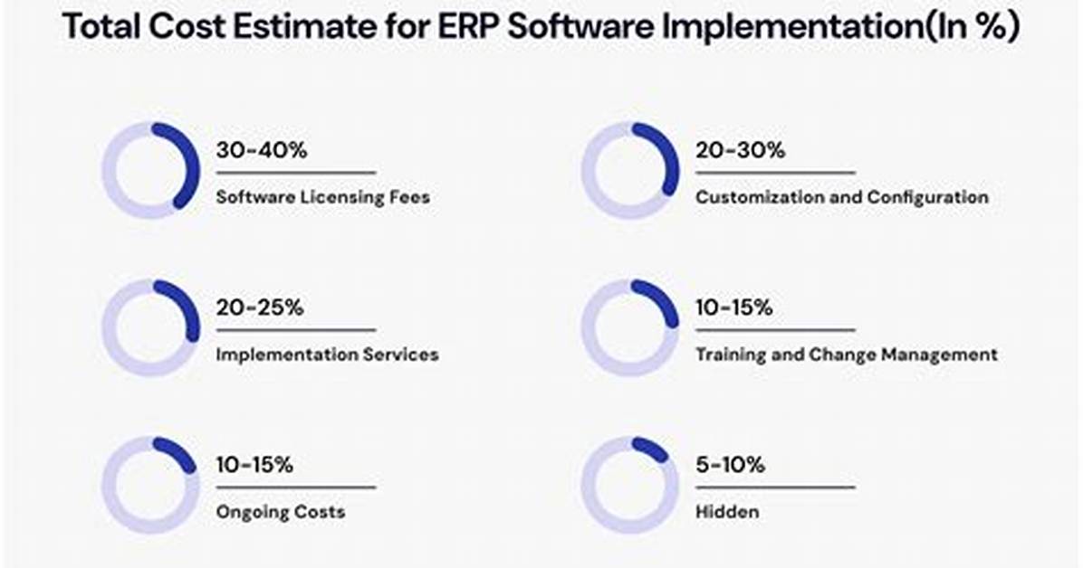 How Much Does Erp Software Cost?
