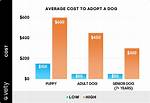 How Much Does It Cost to Adopt a Scarlet Macaw?