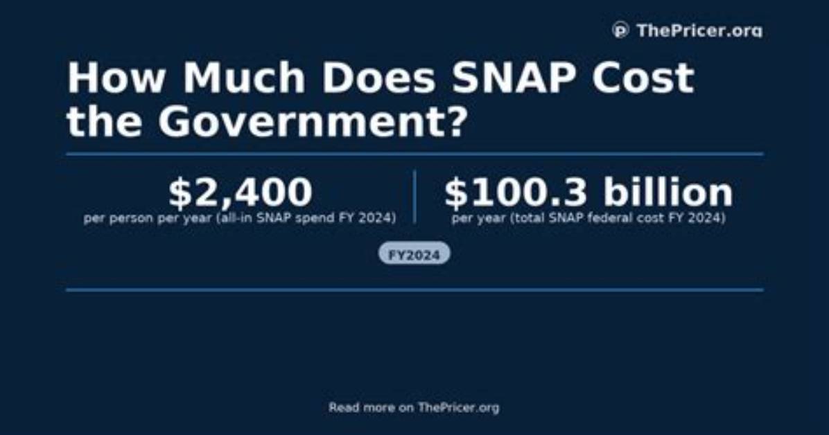 How Much Does Snap Cost?