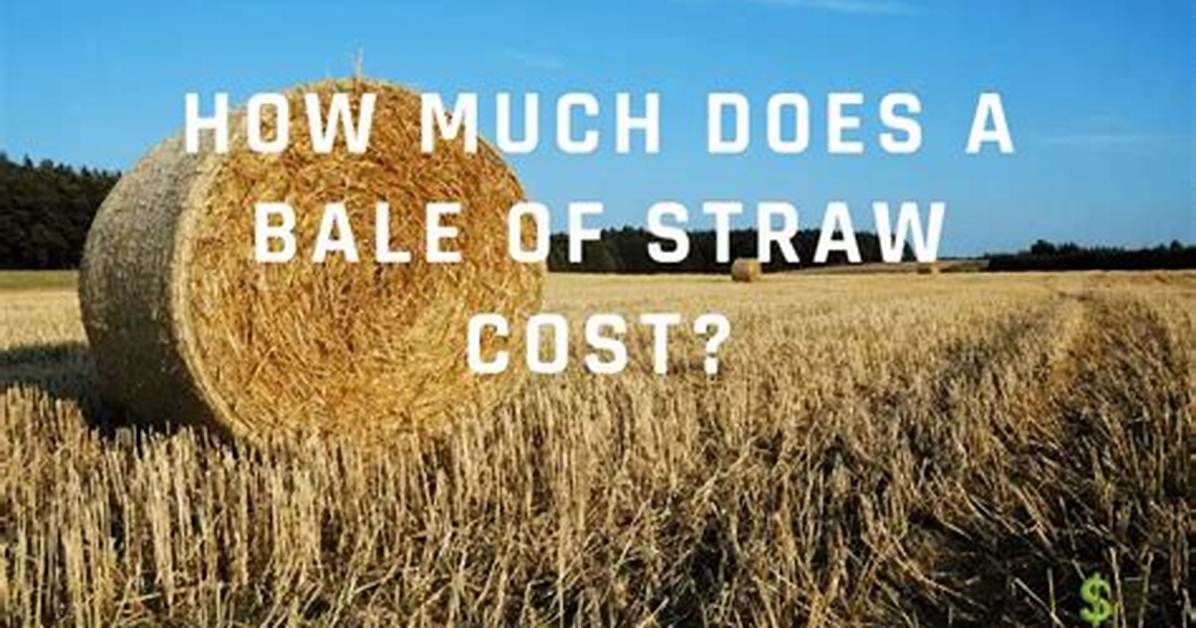 How Much Does Straw Cost