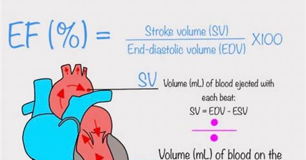 How Much Ejection Fraction Is Normal?