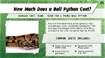 How Much Is a Ball Python?