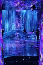 How Much Is teamLab Borderless?