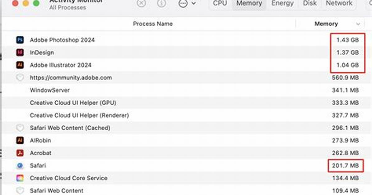 How Much Is the Illustrator Program?