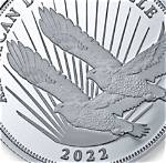 How Much Silver Eagle?