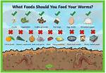 How Much Space Do Worms Need