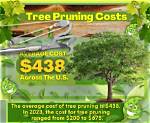 How Much Tree Pruning Cost?