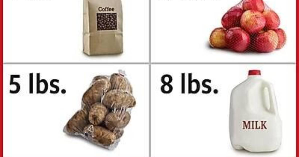 How Much Weight Does a Medium Command Strip Hold?