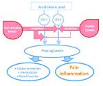How Nsaids Cause Bleeding?