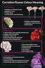 How Often Do Carnations Flower