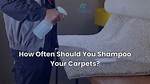 How Often Should You Shampoo Carpets?
