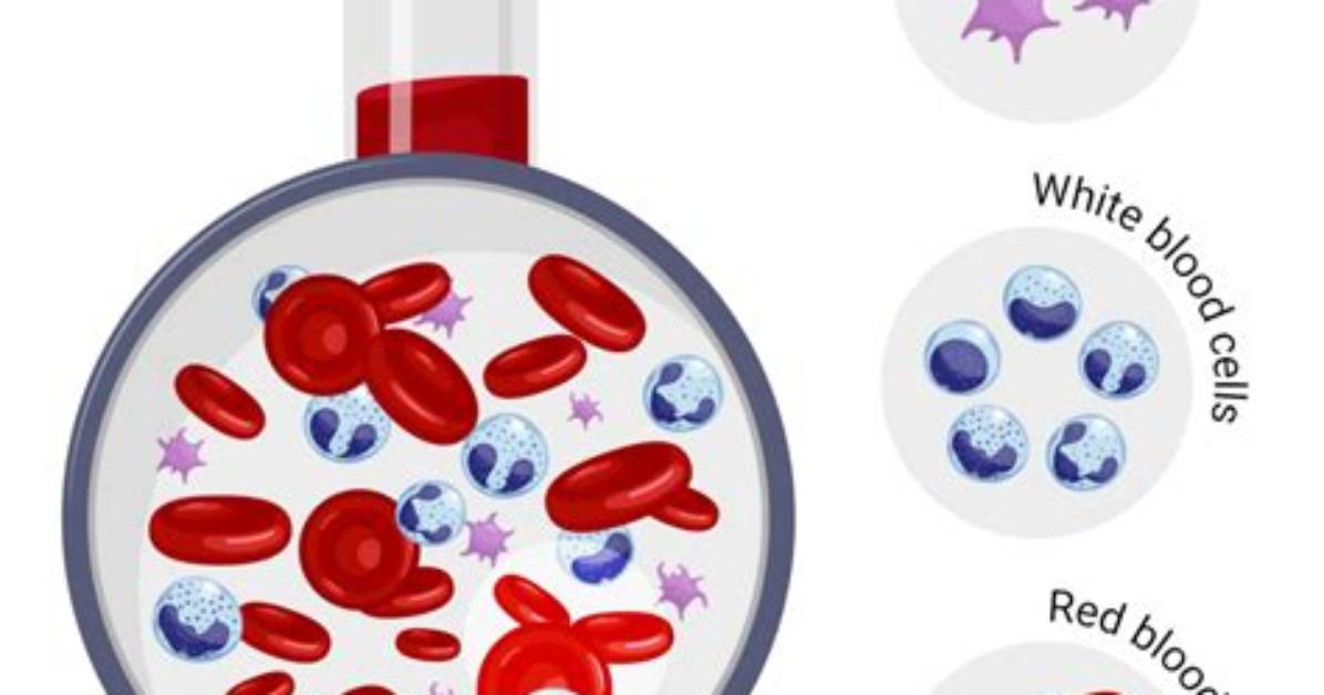 How Pbmc Remove Platelets?