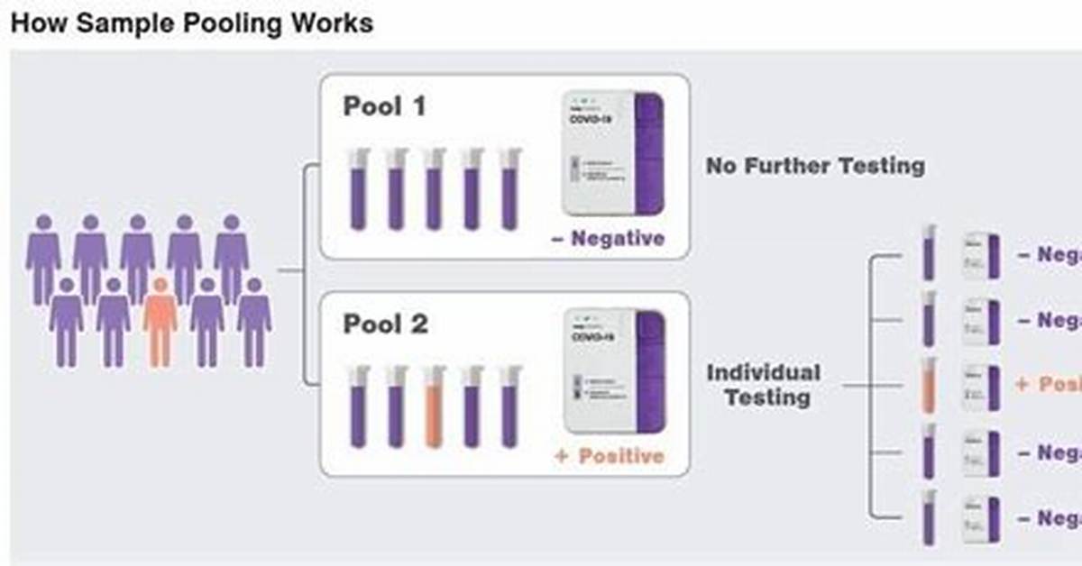 How Pooled Testing Works?
