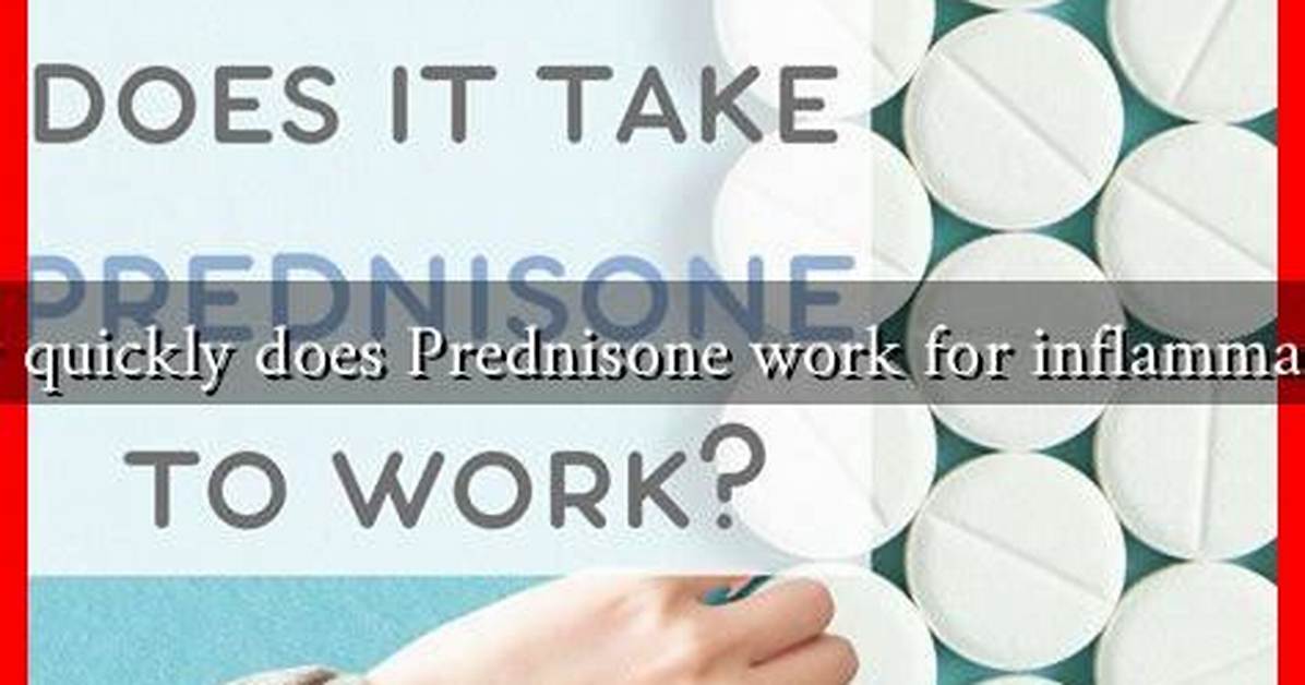 How Quickly Does Prednisone Work