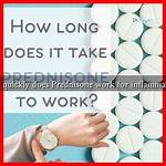 How Quickly Does Prednisone Work