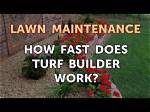 How Quickly Does Turf Builder Work