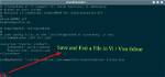 How Save File in Vim?