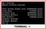 How Shutdown Oracle Database?