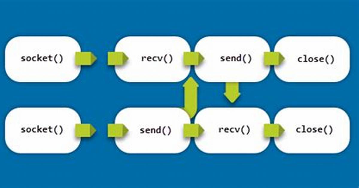 How Sockets Work in Linux?