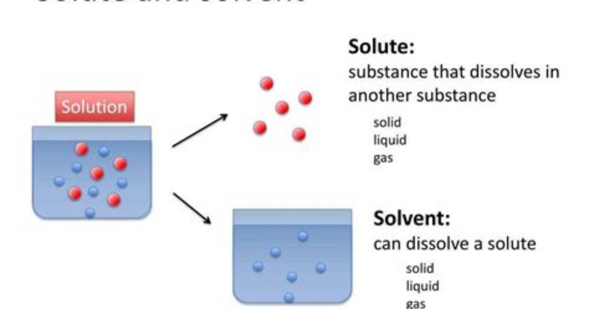 How Solute Different from Solvent?