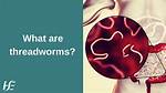 How Threadworms Are Caught?
