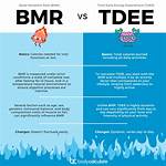 How to Calculate Bmr & Tdee (& Why It's Important)