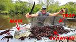 How to Catch Crawfish